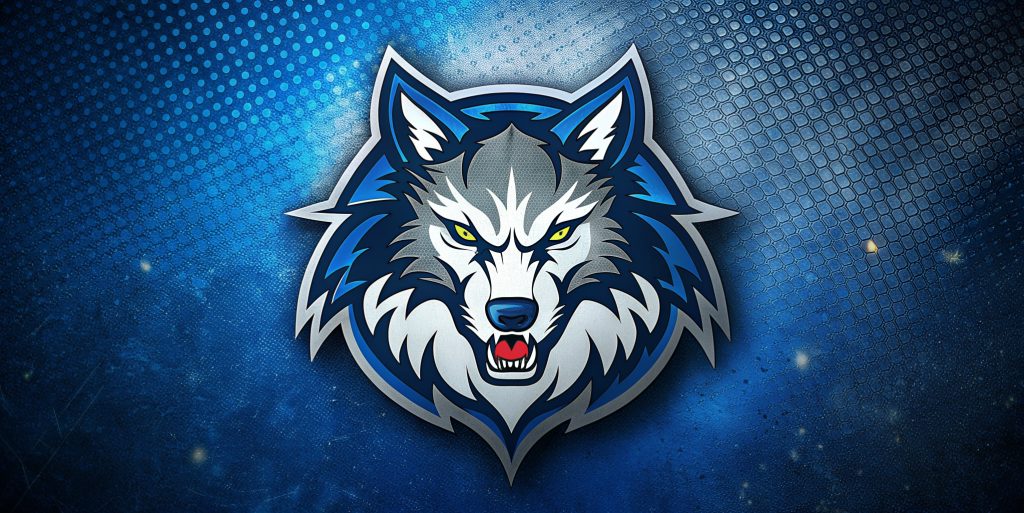 Timberwolves history