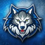 Timberwolves history